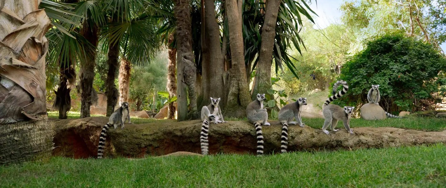 Bioparque Fuengirola